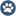 ezyVet