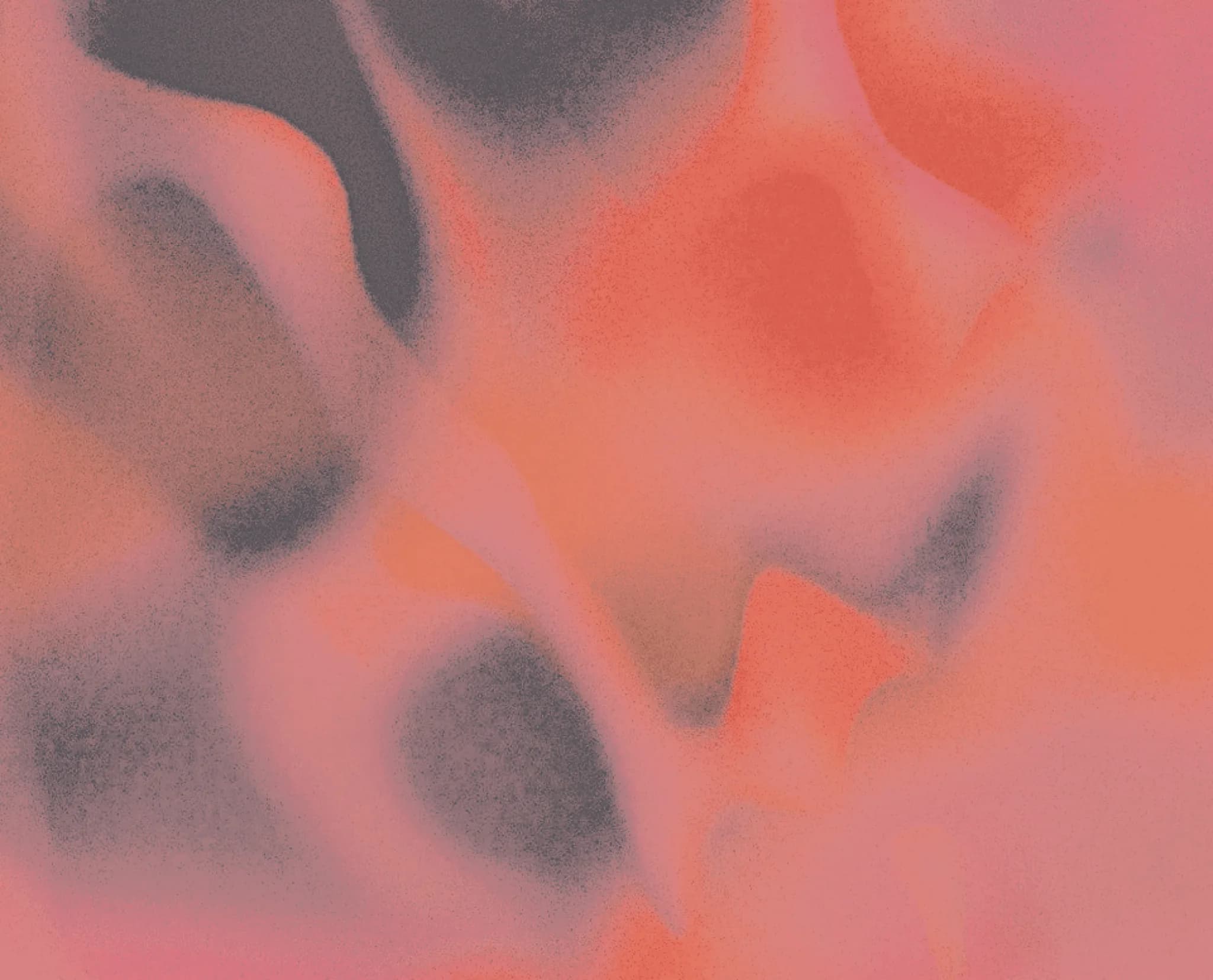 Trazabilidad completa